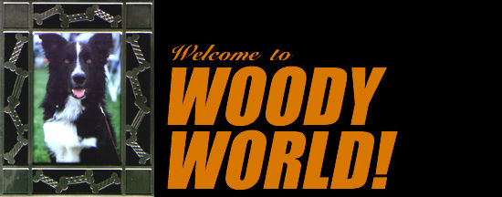 Welcome to the world of Woody!